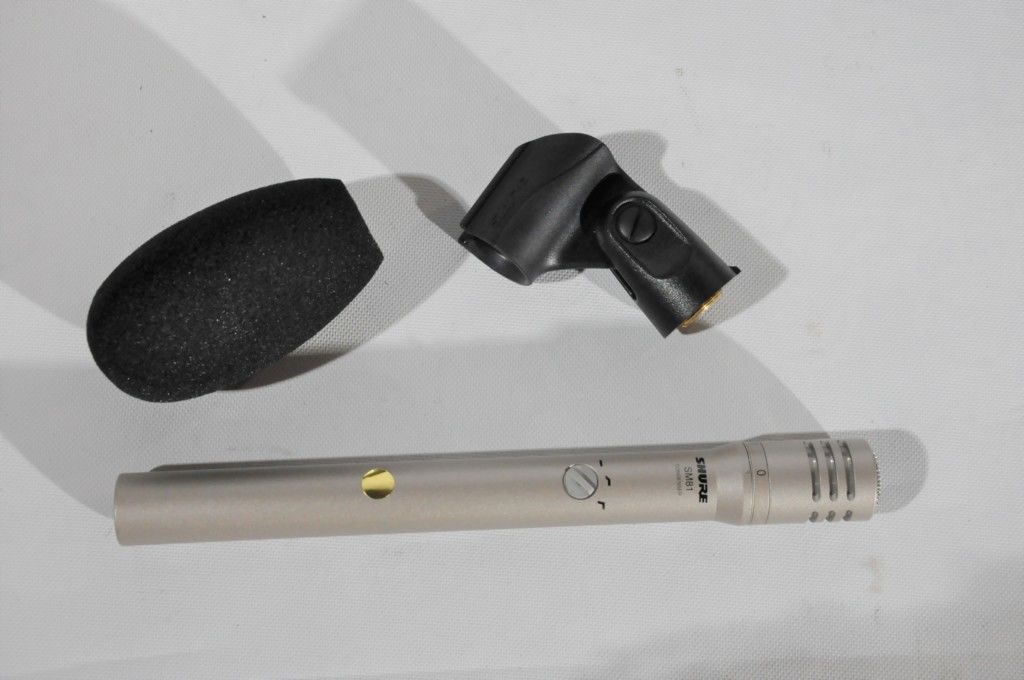 micro_SM81