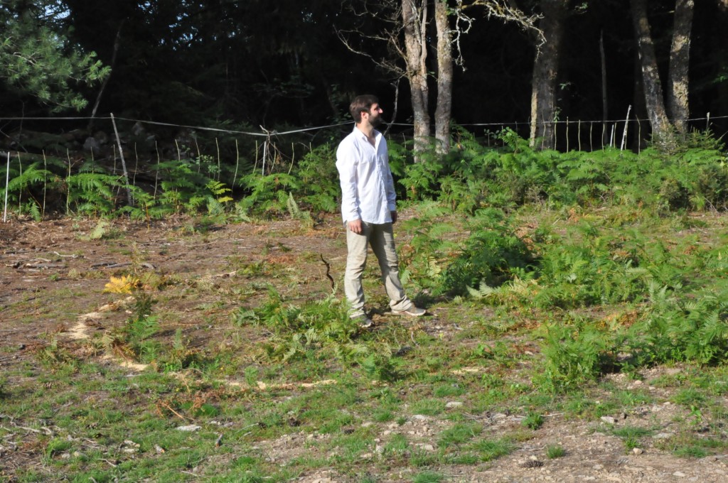 le_plateau_ivre
